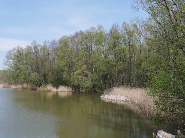 Landsbygd Landskap Med Blå Himmel Och Flod — Stockfoto