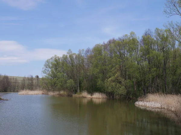 Landsbygd Landskap Med Blå Himmel Och Flod — Stockfoto