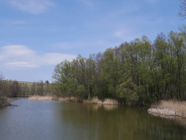 Venkovská Krajina Modrým Nebem Řekou — Stock fotografie