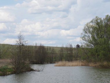 Gökyüzü ve orman. Sonbaharda nehir. 