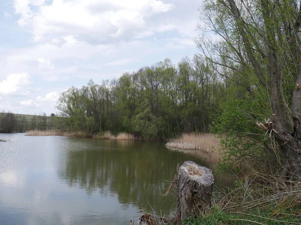 Jarní Řeka Oblačného Počasí Zelená Tráva — Stock fotografie