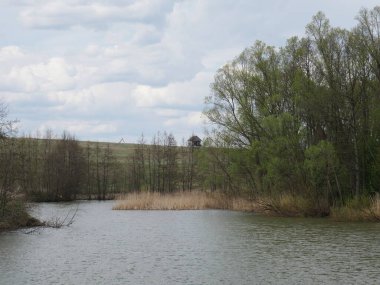 Gökyüzü ve orman. sonbahar ve nehir