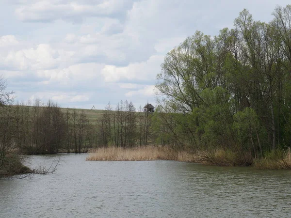 Himlen Och Skogen Höst Och Flod — Stockfoto