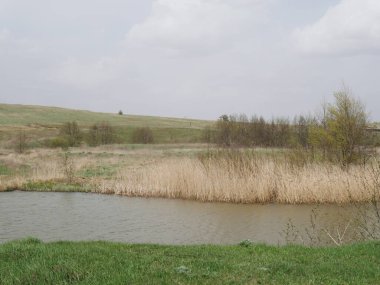 Bulutlu havada bahar nehri. Yeşil çimen