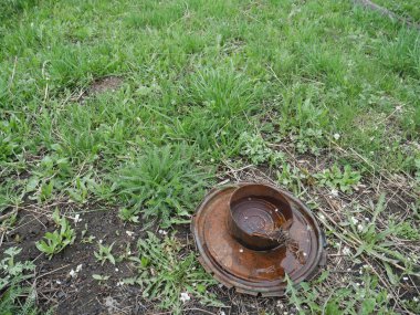 Eski paslı bir kavanoz bulutlu bir günde yeşil çimlerin üzerinde duruyor.