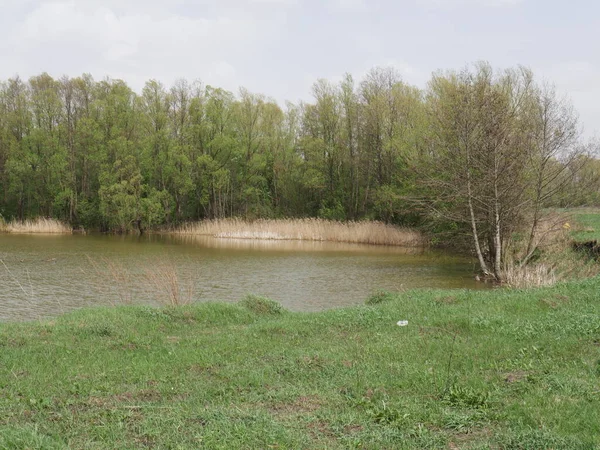 Bulutlu Havada Bahar Nehri Yeşil Çimen — Stok fotoğraf