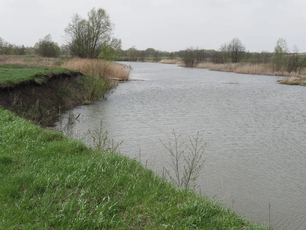 Springfluss Bei Trübem Wetter Grünes Gras — Stockfoto