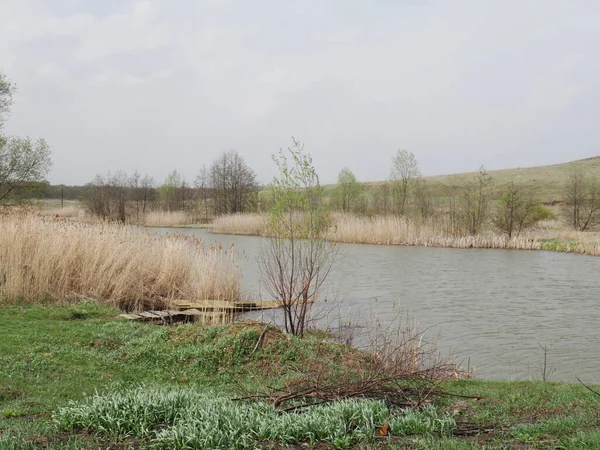 Весенняя Река Облачную Погоду Зеленая Трава — стоковое фото