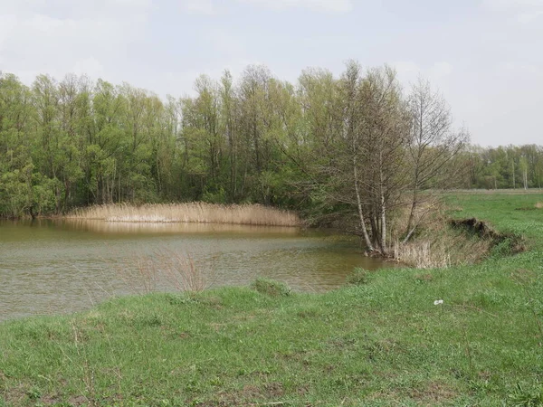 Jarní Řeka Oblačného Počasí Zelená Tráva — Stock fotografie