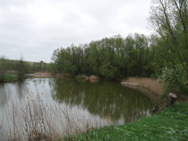 Nehir ve orman Sonbaharda köyde 