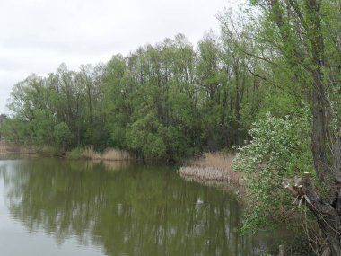 Nehir ve orman Sonbaharda köyde 