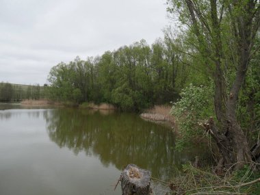 Nehir ve orman Sonbaharda köyde 