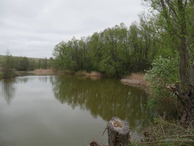 Nehir ve orman Sonbaharda köyde 