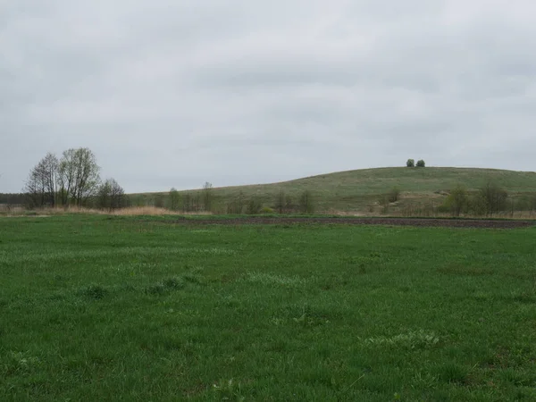 Champ Ciel Village Herbe Verte Printemps — Photo