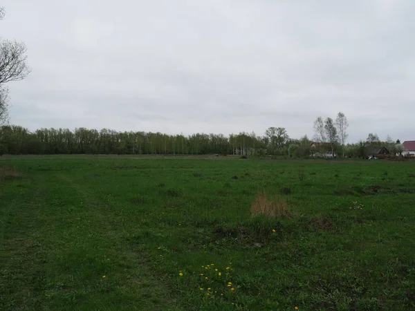 村の畑と空 緑の草 — ストック写真