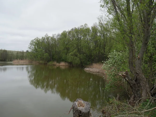 Nehir ve orman Sonbaharda köyde 