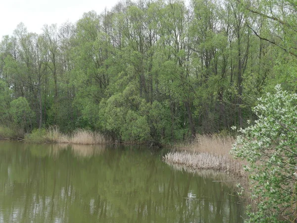 Nehir ve orman Sonbaharda köyde 