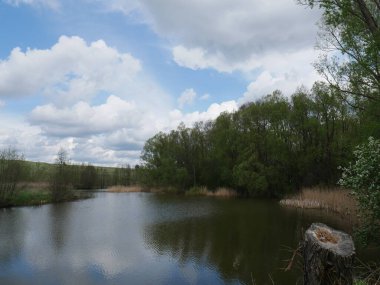 Orman ve nehirle kaplı kırsal bir arazi. Yaz. Mavi gökyüzü ve beyaz bulutlar