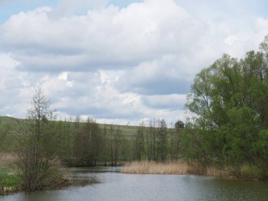 Orman ve nehirle kaplı kırsal bir arazi. Yaz. Mavi gökyüzü ve beyaz bulutlar