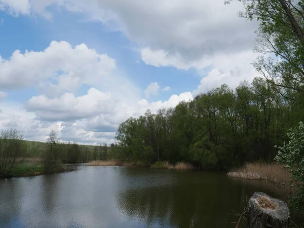 Paisaje Rústico Con Bosque Río Verano Cielo Azul Nubes Blancas — Foto de Stock