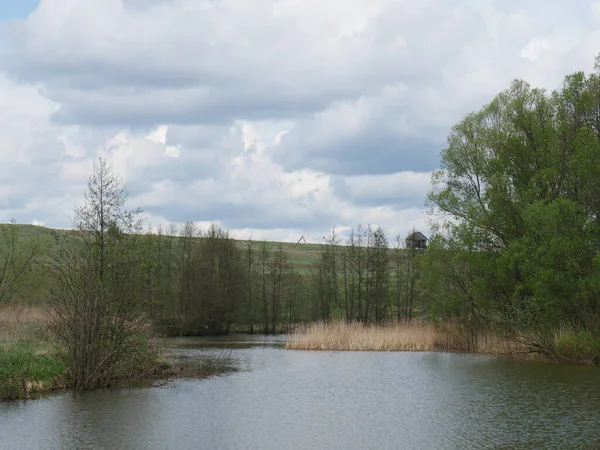 Rustikální Krajina Lesem Řekou Summer Modrá Obloha Bílé Mraky — Stock fotografie