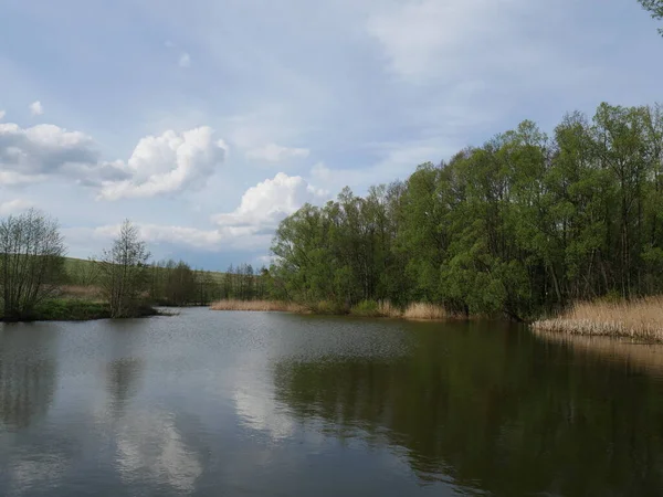 Sommarlandskap Flod Och Skog — Stockfoto