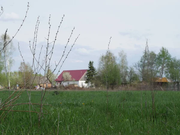 遠くに赤い屋根の村の家 緑の草がたくさん — ストック写真