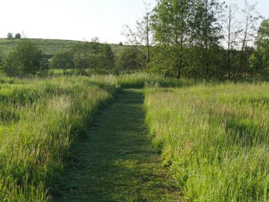 Yaz köyü manzarası. Parlak güneş ve bol yeşillik..
