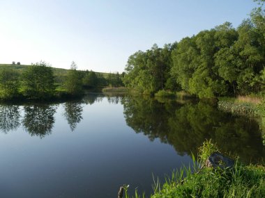 Doğanın manzarası. Yaz. Nehir ve ağaçlar. Bir sürü yeşillik.