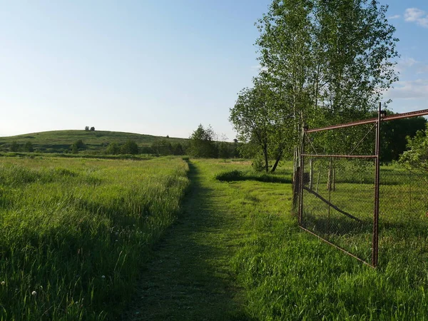 Літній Пейзаж Села Яскраве Сонце Багато Зелені — стокове фото