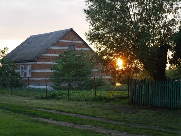 Sunset Village Summer Lots Green Grass Country House Setting Sun — Stock Photo, Image