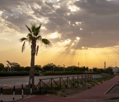 Güneş ışınları bulutların arasında sabahları