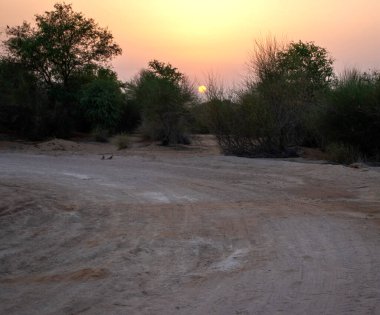 Çölde gün batımı