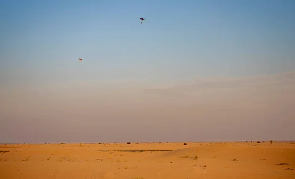 Drachenfliegen Über Einer Wüste — Stockfoto