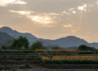 Dağda muhteşem bir gün batımı.