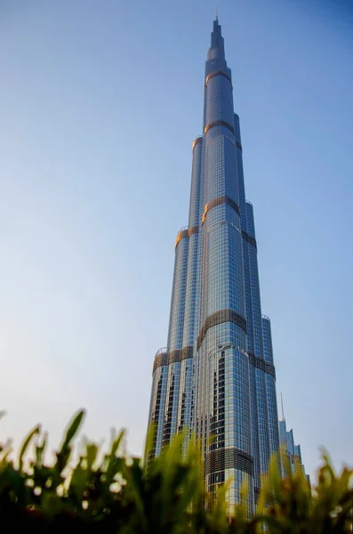 Dünyanın en yüksek binasının manzarası. Burj Halife. Dubai 'de. İyi akşamlar.