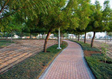 Dubai, BAE 'deki Al Warqa parkında. Açık havada.