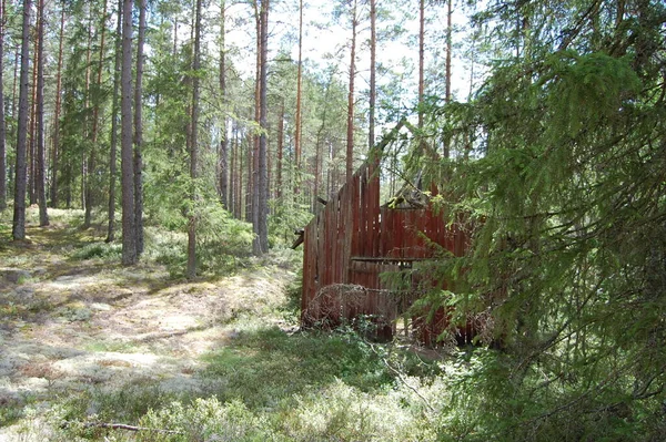 Derstroyed House Forest Jnkping Suécia — Fotografia de Stock