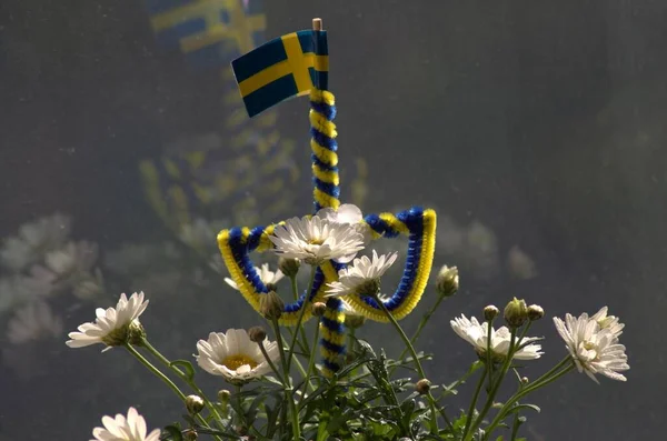 Beatiful Blooming Marguerite Flowers Pot Sweden Symbol Window Still Standard — Stock Photo, Image