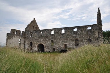 Visingsborg harabeleri - Vattern Gölü 'ndeki Visingso adasındaki en eski İsveç kraliyet kalesi harabeleri 
