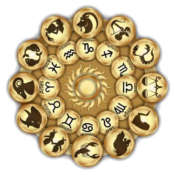 Zodiac signs medallions — Stock Vector