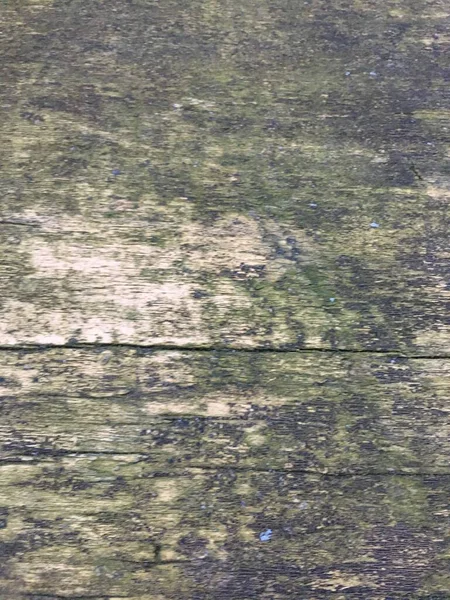 樹皮のテクスチャパターン。幹材 — ストック写真