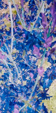 Soyut Fütürist Arkaplan. Bitki Gökkuşağı 