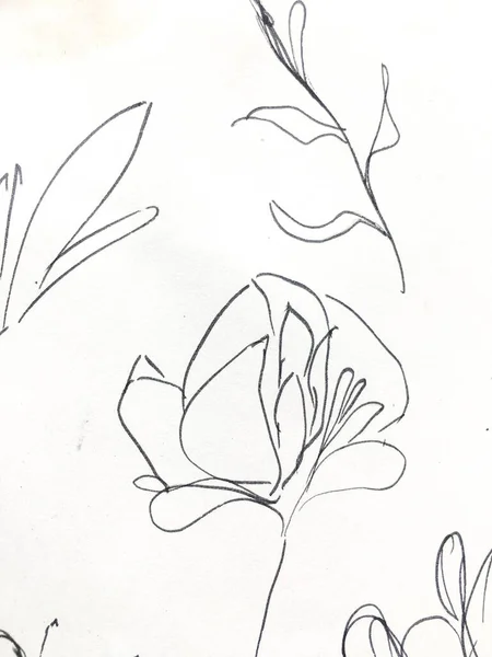 Vintage Hand Drawn Flower Ботанічний гуаш — стокове фото