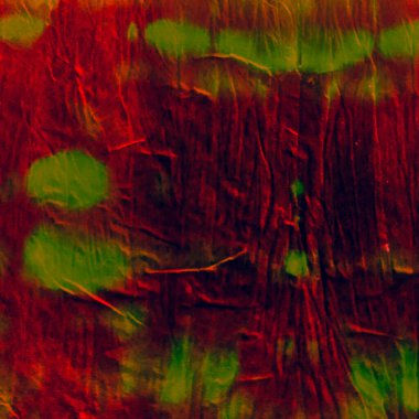 Batik Tekrarı suluboya. Kan Yaprağı Tasarımı. 