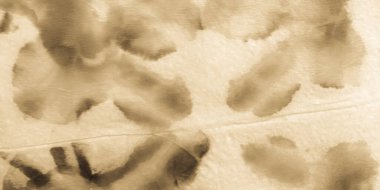 Parçalanmış Parşömen. Portakal boyalı tuval. Eski Pirinç 