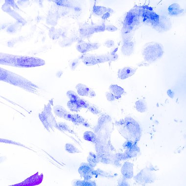 Fırça darbesi şablonu. Deniz Fırçası Çizgisi DokusuName. 