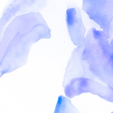 Klasik El Çekimi Çiçeği. Basit Deniz Battaniyesi. 