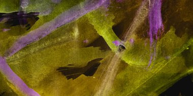 Üçgen Tasarım Elementleri. Duvar Anaokulu Kalemi 