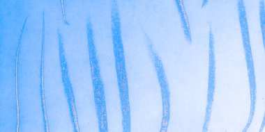 İmdat Hattı Düzeni. Okyanus Kirli Sanatlarını Soyun. 